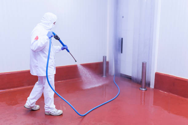 Best Graffiti Removal  in Nibley, UT