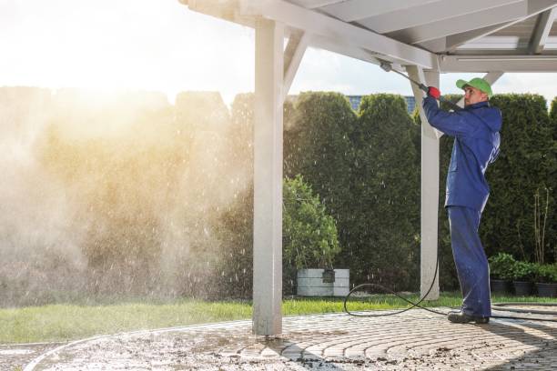 Best Gutter Cleaning  in Nibley, UT